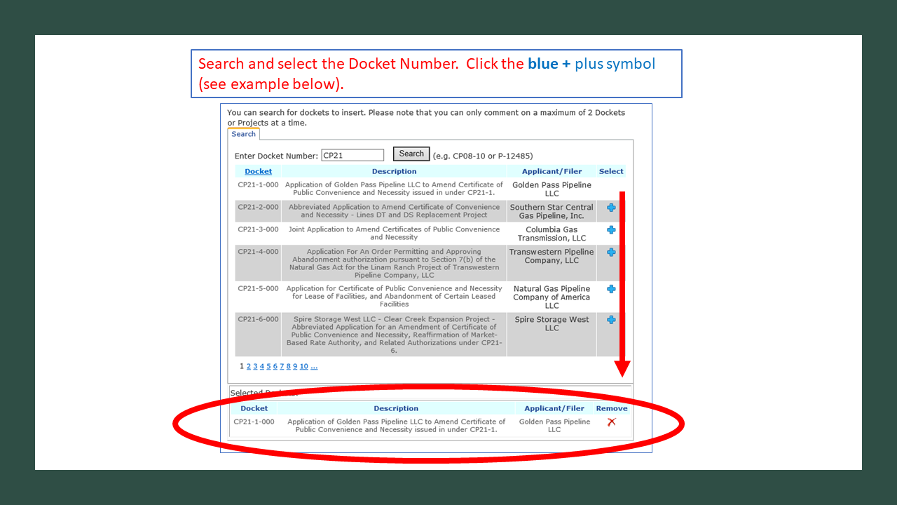 Search and select the Docket Number.  Click the blue + plus symbol (see example below). 