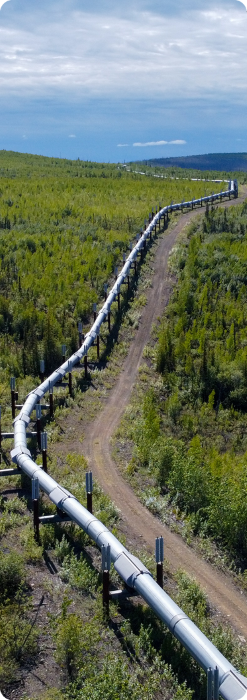 Pipeline through forest