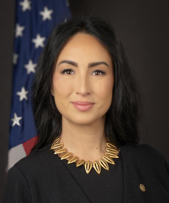 Portrait of Chairman Laura V. Swett